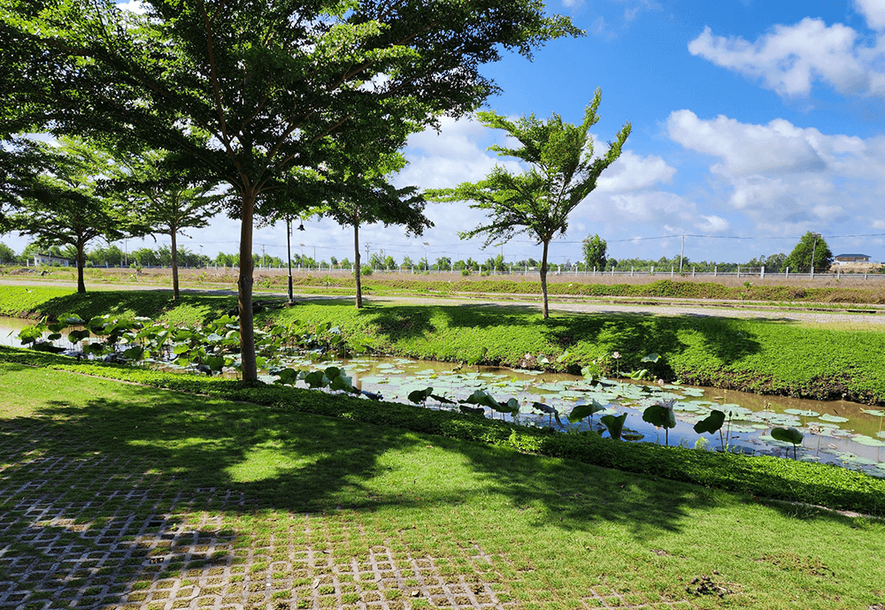 manufacturing-view_pic15