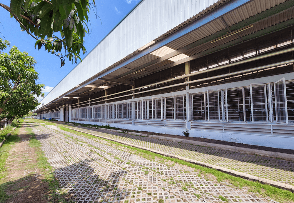 manufacturing-view_pic14